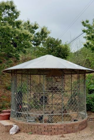 송혁상님의 6월 내 작물 자랑하기🌱 · 참여글 작성글 사진