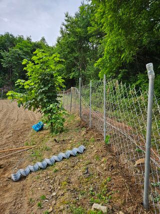 서상진님의 6월 내 작물 자랑하기🌱 · 참여글 작성글 사진
