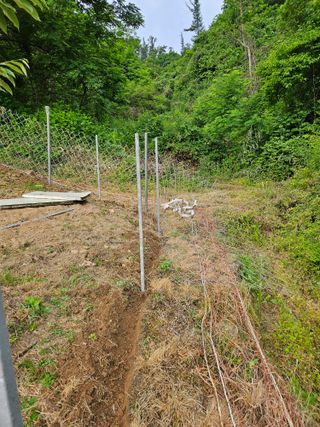 서상진님의 6월 내 작물 자랑하기🌱 · 참여글 작성글 사진