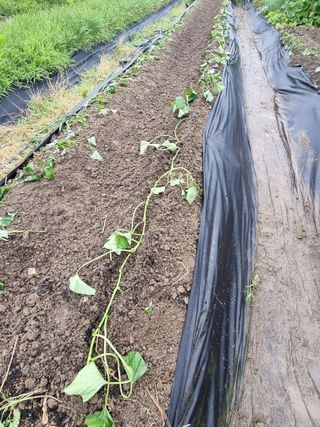 dongja님의 자유주제 · 자유게시판 작성글 사진