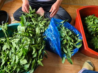 징금다리님의 자유주제 · 자유게시판 작성글 사진