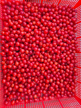 징금다리님의 자유주제 · 자유게시판 작성글 사진