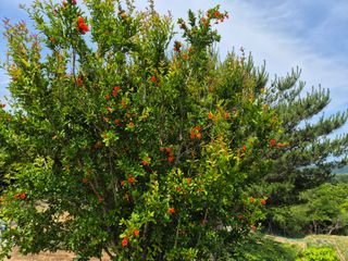 징금다리님의 자유주제 · 자유게시판 작성글 사진