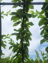 팜모닝 자유주제·사진전 게시글 이미지