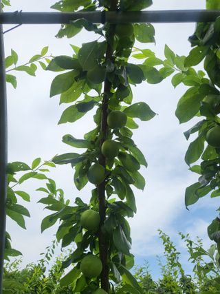 박범재0104195님의 자유주제 · 사진전 작성글 사진