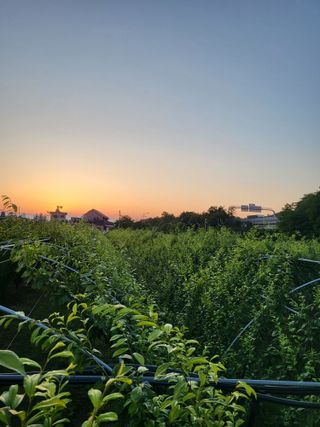 박범재0104195님의 자유주제 · 사진전 작성글 사진