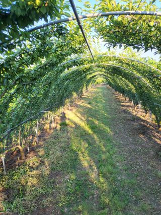 박범재0104195님의 자유주제 · 사진전 작성글 사진