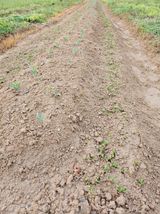 팜모닝 자유주제·자유게시판 게시글 이미지