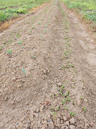유진식님의 자유주제 · 자유게시판 작성글 사진