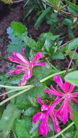 팜모닝 자유주제·자유게시판 게시글 이미지