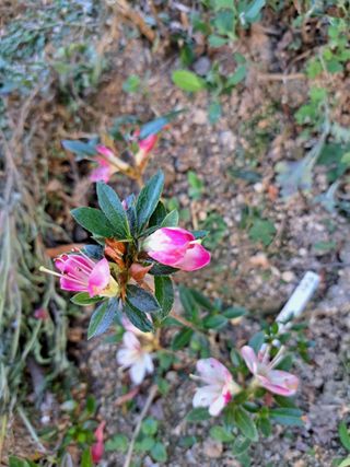 신한숙님의 자유주제 · 자유게시판 작성글 사진