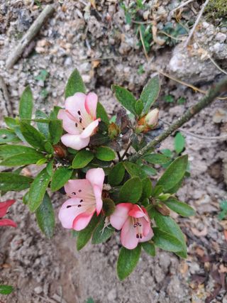 신한숙님의 자유주제 · 자유게시판 작성글 사진