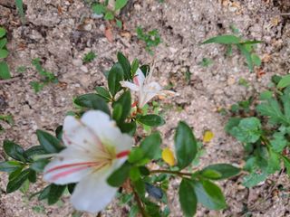 신한숙님의 자유주제 · 자유게시판 작성글 사진