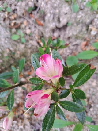 신한숙님의 자유주제 · 자유게시판 작성글 사진