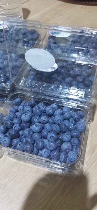 산마루농장님의 블루베리 · 영농일지 작성글 사진