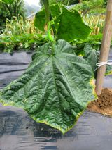 팜모닝 자유주제·자유게시판 게시글 이미지