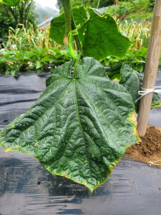 박기식 님의 자유주제 · 자유게시판 작성글 사진