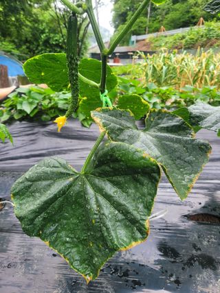 박기식 님의 자유주제 · 자유게시판 작성글 사진