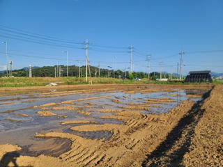 작은뜰 농원님의 벼 · 영농일지 작성글 사진