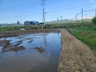 작은뜰 농원님의 벼 · 영농일지 작성글 사진