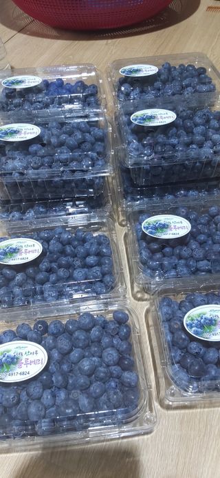 산마루농장님의 6월 내 작물 자랑하기🌱 · 참여글 작성글 사진