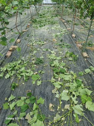 귀농대박님의 자유주제 · 자유게시판 작성글 사진