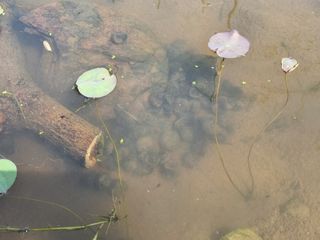 들꽃농장님의 자유주제 · 자유게시판 작성글 사진