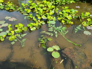 들꽃농장님의 자유주제 · 자유게시판 작성글 사진