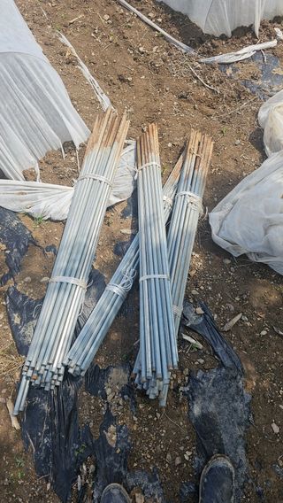 수하계곡 님의 자유주제 · 자유게시판 작성글 사진