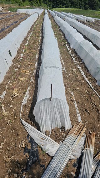 수하계곡 님의 자유주제 · 자유게시판 작성글 사진