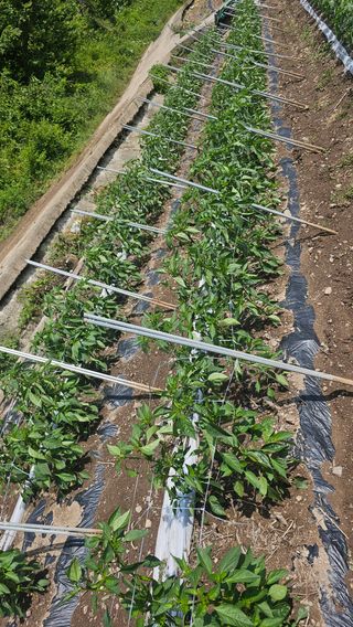 수하계곡 님의 자유주제 · 자유게시판 작성글 사진