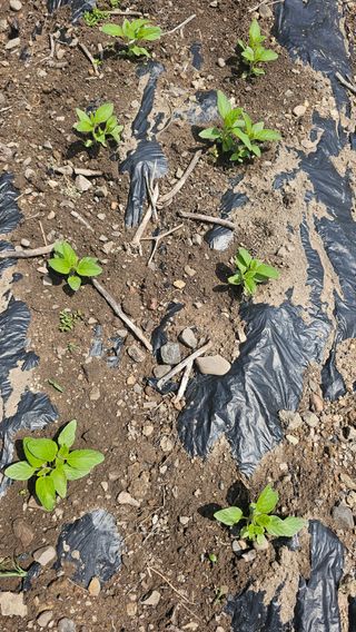 수하계곡 님의 자유주제 · 자유게시판 작성글 사진