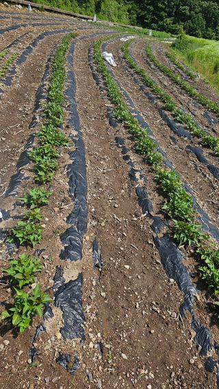 수하계곡 님의 자유주제 · 자유게시판 작성글 사진