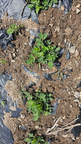 수하계곡 님의 자유주제 · 자유게시판 작성글 사진