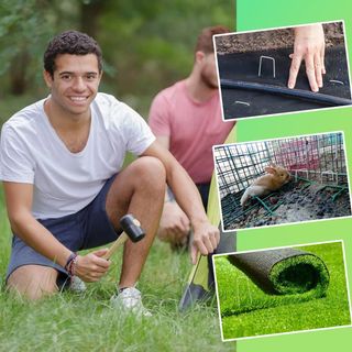 바이털사인님의 작성글 사진