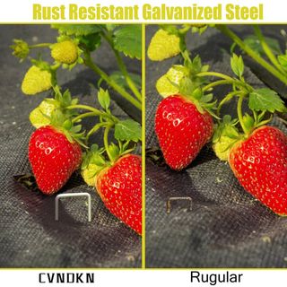 바이털사인님의 작성글 사진