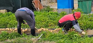 블루베리12300님의 자유주제 · 자유게시판 작성글 사진