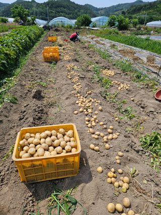 블루베리12300님의 자유주제 · 자유게시판 작성글 사진