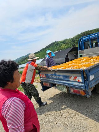 블루베리12300님의 자유주제 · 자유게시판 작성글 사진
