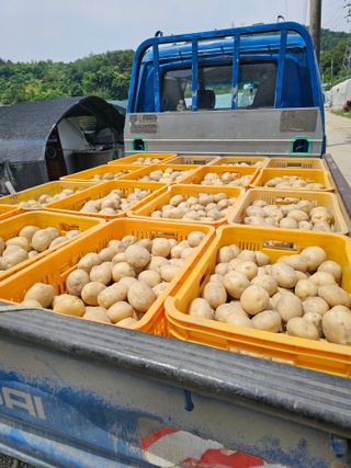 블루베리12300님의 자유주제 · 자유게시판 작성글 사진