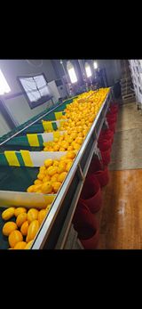 팜모닝 기타작물·영농일지 게시글 이미지