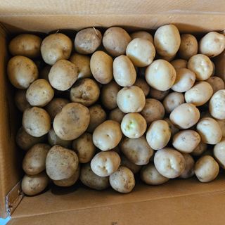 강옥만님의 작성글 사진