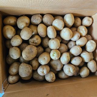 강옥만님의 작성글 사진