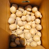 팜모닝 · 게시글 이미지