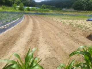 희상님의 자유주제 · 자유게시판 작성글 사진