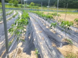 희상님의 자유주제 · 자유게시판 작성글 사진