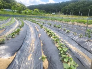 희상님의 자유주제 · 자유게시판 작성글 사진