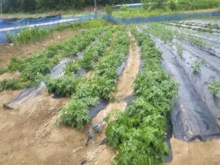 희상님의 자유주제 · 자유게시판 작성글 사진