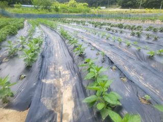 희상님의 자유주제 · 자유게시판 작성글 사진