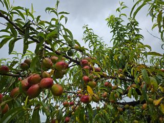 김석중님의 자유주제 · 사진전 작성글 사진